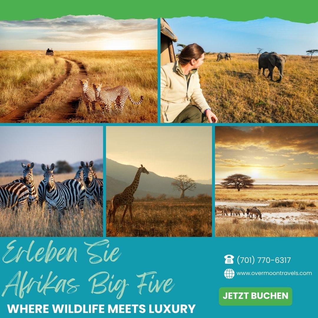 Reisen & Urlaub social media post