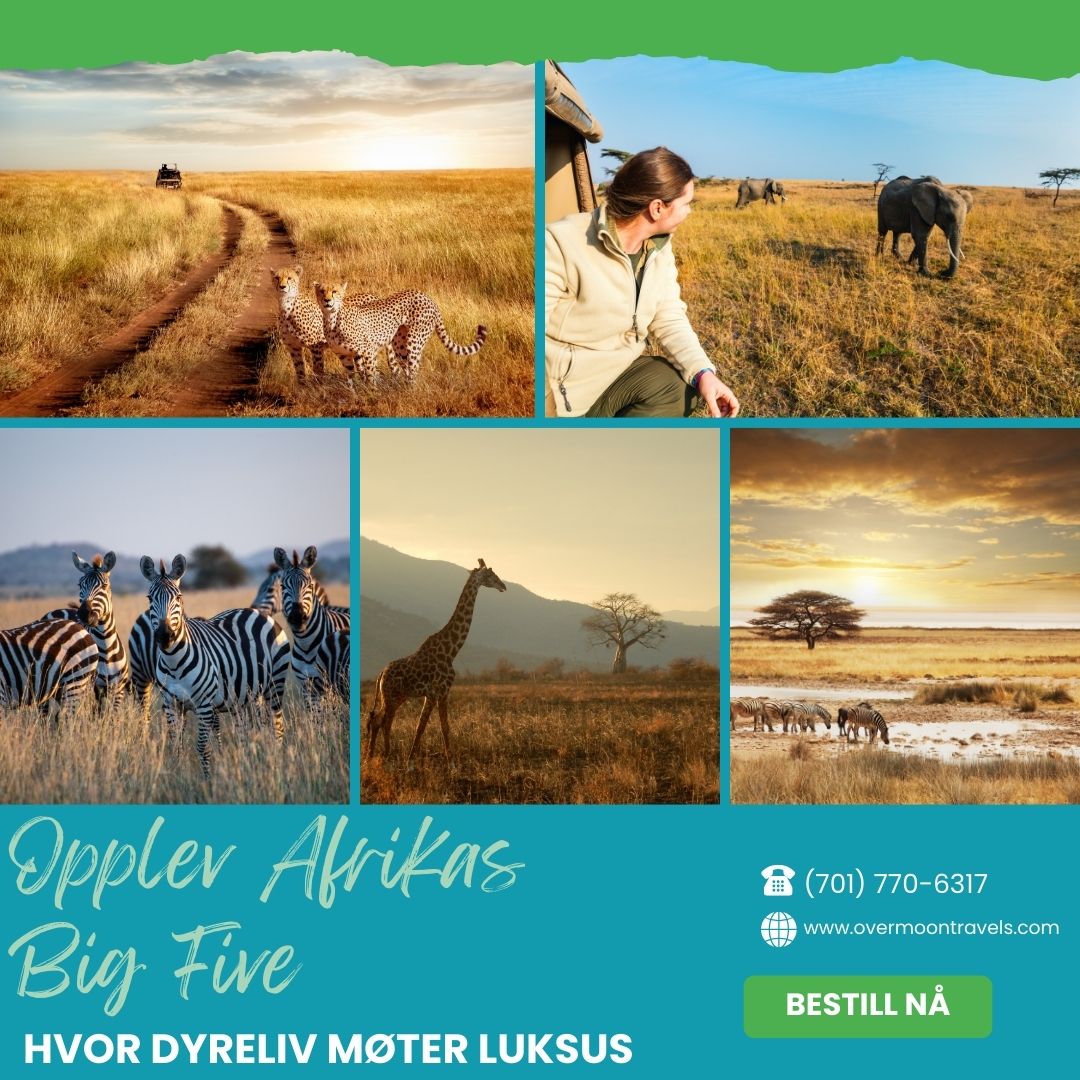 Reise & Turisme social media post