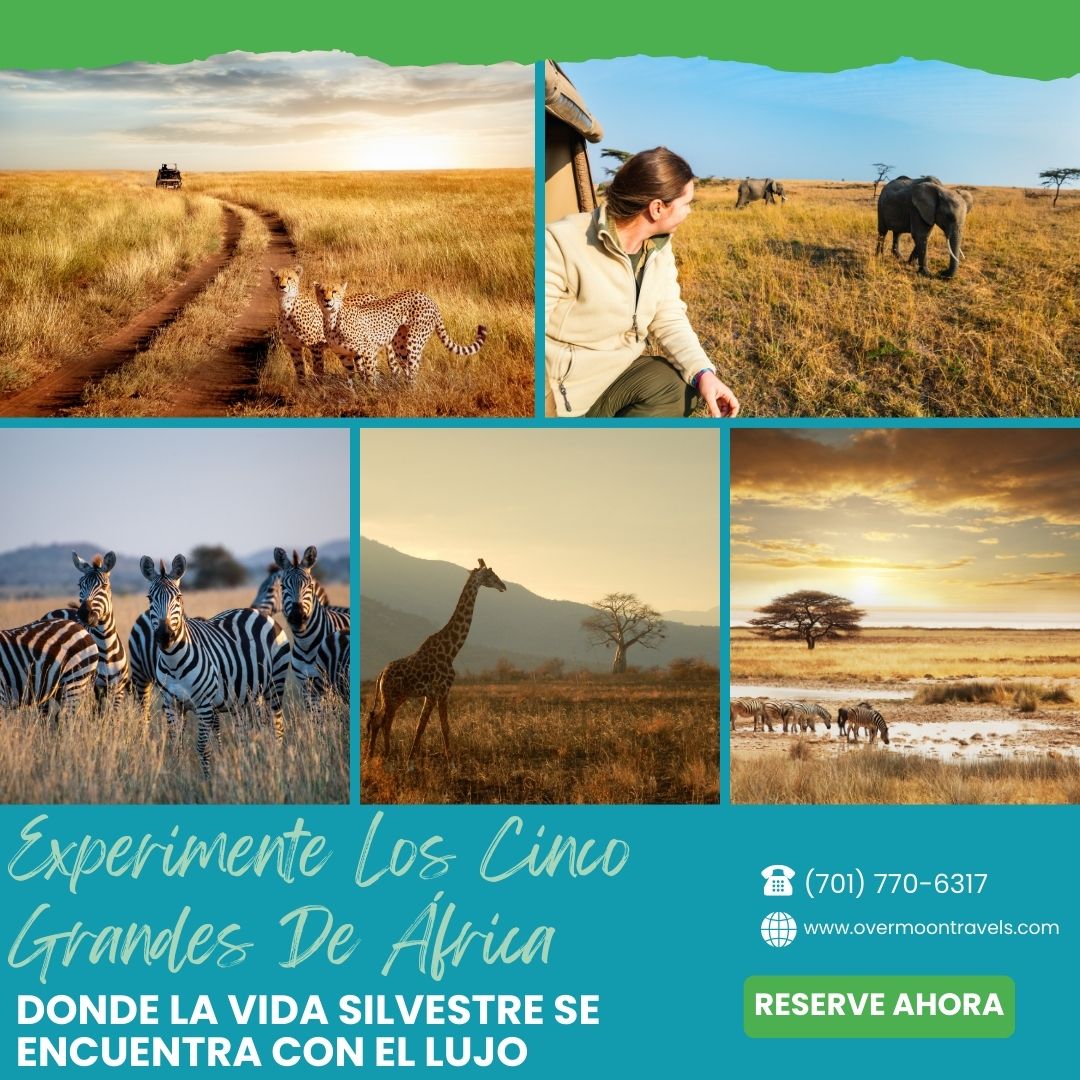 Viajes y Turismo social media post